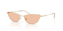 Emporio Armani EA 2174B - 301393 SHINY PALE GOLD brown