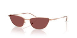 Emporio Armani EA 2174B - 301175 SHINY ROSE GOLD dark violet