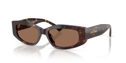 Jimmy Choo JC 5046BU - 500273 HAVANA dark brown
