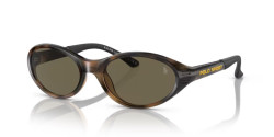 Polo Ralph Laurent PH 4197U - 5003/3 SHINY HAVANA brown