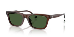 Polo Ralph Lauren PH 4240U - 631571 SHINY TRANSPARENT BROWN dark green