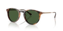 Polo Ralph Lauren  PH 4239U - 500371 SHINY RED HAVANA dark green