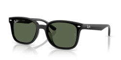 Ray-Ban RB 4461D - 601/71 BLACK dark green