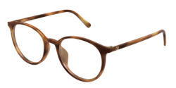 Valentino VG 0041OK - 002 HAVANA