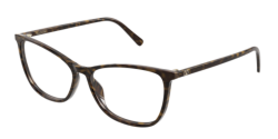 Valentino VG 0024O - 006 HAVANA