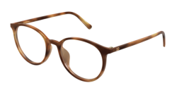 Valentino VG 0041OK - 002 HAVANA