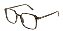 Valentino VG 0022O - 008 HAVANA