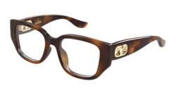 Valentino VG 0037OA - 002 HAVANA
