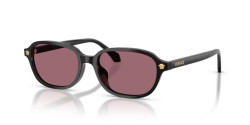 Versace VE 4514D - GB1/1A BLACK violet