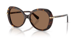Swarovski SK 6059 - 100273 HAVANA dark brown