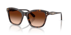 Swarovski SK 6063 - 100274 HAVANA gradient brown