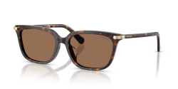 Swarovski SK 6064D - 100273 HAVANA dark brown