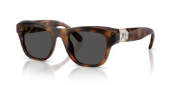 Swarovski SK 6056U - 100287 HAVANA dark grey