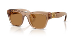 Swarovski SK 6056U - 109273 TRANSPARENT BEIGE bronze