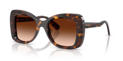 Swarovski SK 6062U - 100274 HAVANA gradient brown