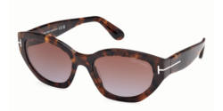 Tom Ford FT 1086 PENNY - 52F DARK HAVANA brown