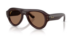 Ray-Ban RB 4925 - 689673 TRANSPARENT DARK BROWN dark brown