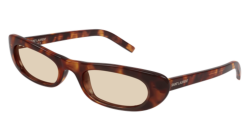 Saint Laurent SL 557 SHADE - 008 HAVANA brown