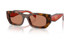 Prada PR B05S - 01K90Q JUNIPER TORTOISE/COTTO brown