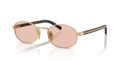 Prada PR B53S - 5AK50V GOLD pink
