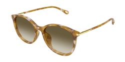 Chloe CH 0397SK - 003 HAVANA brown gradient