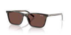 Prada PR D19S - 24P90W CHESTNUT HORN/WALNUT HORN black chocolate