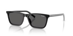 Prada PR D19S - 29O20Z BLACK/BASALT HORN dark grey