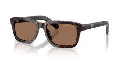 Prada PR D16S - 17N60M ROOT TORTOISE dark brown