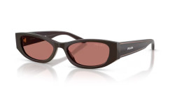 Prada PR D22S - 27I80W CIGAR bordeaux