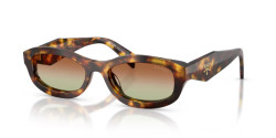 Prada PR D24S - 14L70T HONEY TORTOISE green/brown