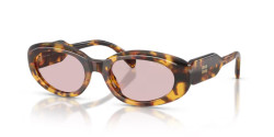 Miu Miu MU C01S - 14L4I0 HONEY HAVANA pink