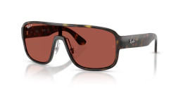 Ray-Ban RB 2229 - 710/1B HAVANA red urban redwood polarized s