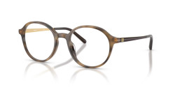 Miu Miu MU 10ZVU - 27Q1O1 EBONY HAVANA