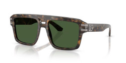 Dolce&Gabbana DG 4562 - 349971 DARK BROWN HAVANA dark green