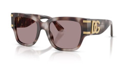 Dolce&Gabbana DG 4563 - 3498LA VIOLET HAVANA violet