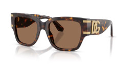 Dolce&Gabbana DG 4563 - 502/73 HAVANA dark brown