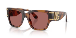 Dolce&Gabbana DG 4563 - 349769 RED HAVANA dark violet
