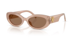 Dolce&Gabbana DG 4537 - 304273 OPAL BROWN dark brown