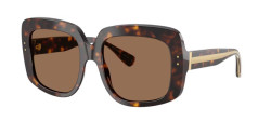 Dolce&Gabbana DG 4557 - 502/73 HAVANA dark brown