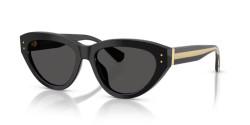 Dolce&Gabbana DG 4558 - 501/87 BLACK dark grey