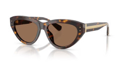 Dolce&Gabbana DG 4558 - 502/73 HAVANA dark brown