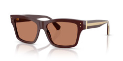 Dolce&Gabbana DG 4559 - 3503/3 CHOCOLATE brown