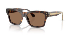 Dolce&Gabbana DG 4559 - 502/73 HAVANA dark brown