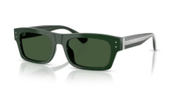 Dolce&Gabbana DG 4560 - 331182 GREEN green