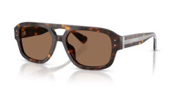 Dolce&Gabbana DG 4561 - 502/73 HAVANA dark brown
