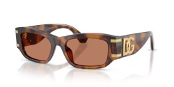 Dolce&Gabbana DG 4564 - 3497/3 RED HAVANA brown