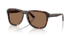 Dolce&Gabbana DG 4566 - 502/73 HAVANA dark brown