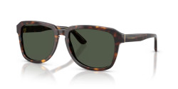 Dolce&Gabbana DG 4566 - 502/9A HAVANA dark green polarized