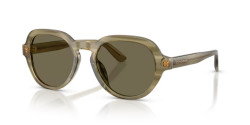 Dolce&Gabbana DG 4567 - 3480/3 TRANSPARENT GREEN ON STRIPED GREEN brown
