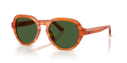 Dolce&Gabbana DG 4567 - 348371 TRANSPARENT CAMEL ON STRIPED GINGER dark green
